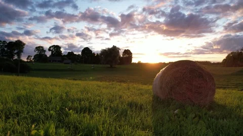 Rustic vibe Stock Footage 248562427