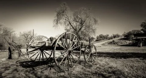 Rustic Wagon in Field - Sepia Foto stock