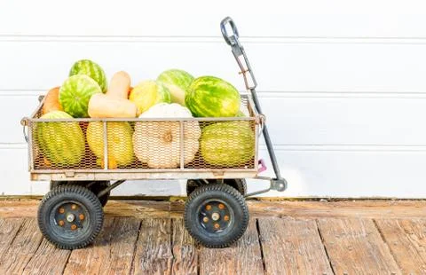 Rustic wagon filled with watermelon and squash Foto stock