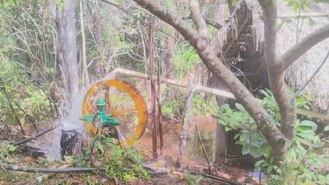 Rustic water wheel pump operating in a lush green forest stream. Stock Footage 313241051