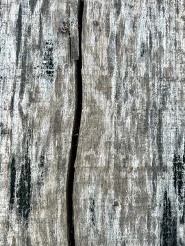 Rustic Weathered Wood Texture Background with a Deep Natural Crack Stock Photos