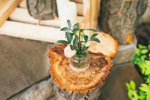 Rustic wedding decor, decorated pot with rose on the stump 写真素材