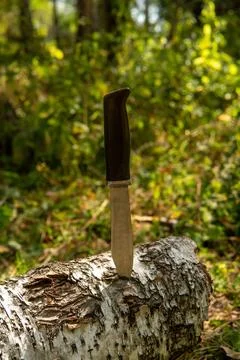A rustic, well-crafted knife resting on a textured log surrounded by lush g.. Photos