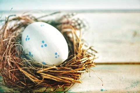 Rustic White Egg in the Hay Nest Stock Photos