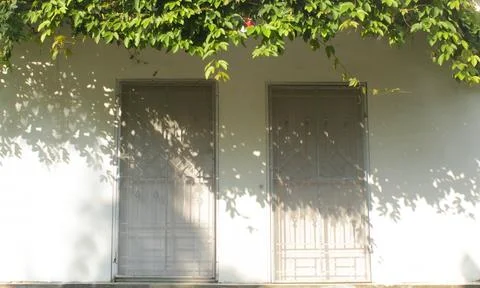 Rustic White Wall with Two Doors Shaded by Lush Green Vines Stock Photos