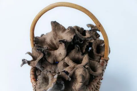 Rustic wicker basket filled with dark. Foto stock