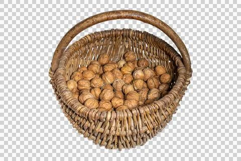 Rustic wicker basket filled with harvested whole brown walnut shells Stock Photos