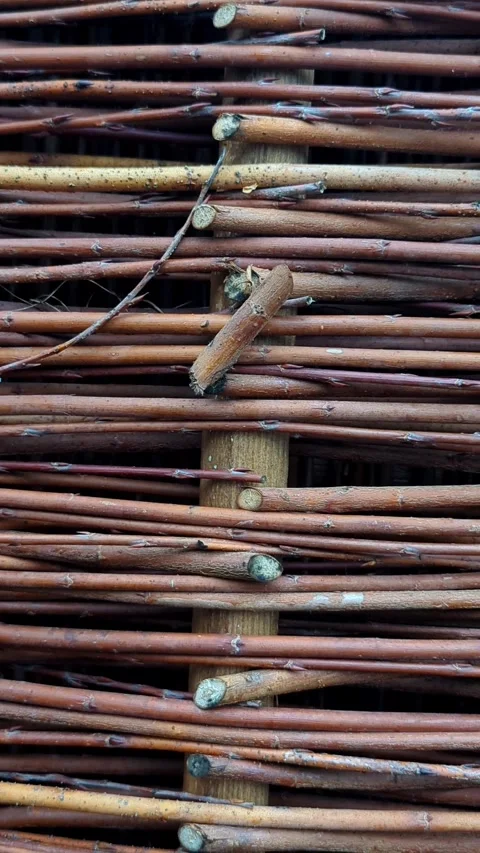 Rustic Wicker Fence Texture 4K, Natural Willow Branch Weaving for Garden Design Stock Footage 331316687