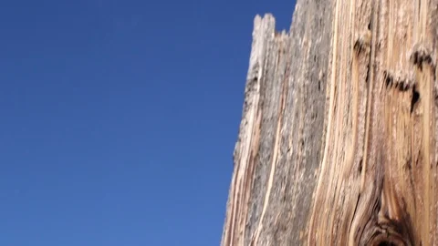 Rustic Wild West horse corral Stock Footage 108458239