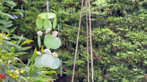 Rustic Wind Chime With Shells Under Rain - 4K Vidéo 317723305