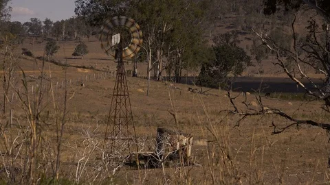 Rustic windmill in the countryside of Queensland. Stock Footage 113125815