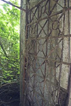Rustic window framework in old abandoned building Foto stock