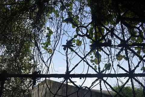 Rustic window framework in old abandoned building Stock Photos