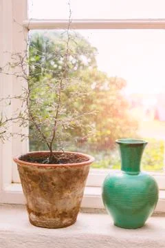 Rustic window sill 写真素材