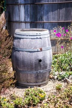 Rustic wine barrel Stock Photos