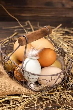 Rustic wire basket filled with fresh farm eggs Stock Photos
