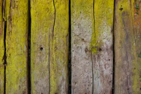 Rustic wood background Stock Photos