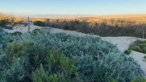 Rustic Wood Beach Boardwalk Through Sand Dunes. Oso Flaco Lake Natural Area Stat Stock Footage 234588418