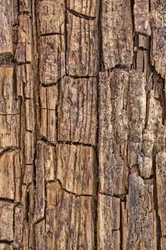 Rustic Wood Plank Texture Background - Old Weathered Wooden Board Vertical Stock Photos