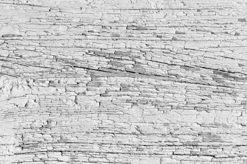 Rustic wood texture or background in grey color. Monochrome, black and white. Stock Photos