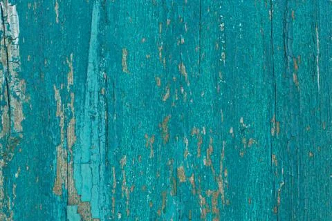 Rustic wood texture or background with scratched turquoise paint.  Close-up. Stock Photos