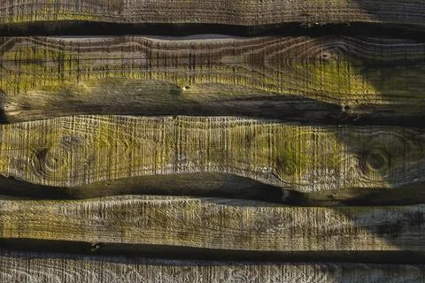 Rustic wood texture Foto stock