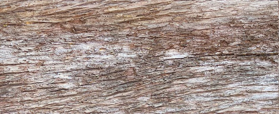 Rustic wood tree bark texture background pattern Stock Photos
