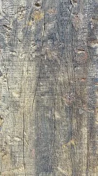 Rustic wood to use as texture Stock Photos