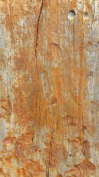 Rustic wood to use as texture Stock Photos