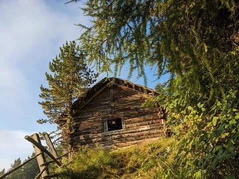 Rustic wooden alpine hut surrounded by forest in the Austrian Alps Stock Photos