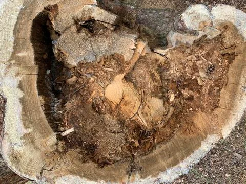 Rustic wooden background Stock Photos