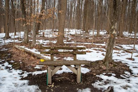 Rustic wooden bench along a desolate hiking trail a yellow flowers laid on it Stock Photos