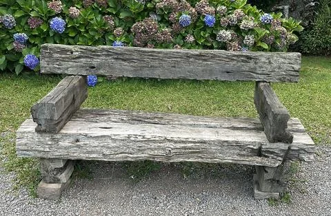 Rustic wooden bench and hydrangeas Stock Photos