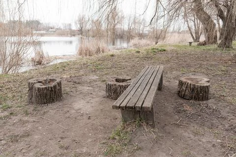 Rustic Wooden Bench and Tree Stump Seats Beside Tranquil Lake With Bare Tre.. Stock Photos