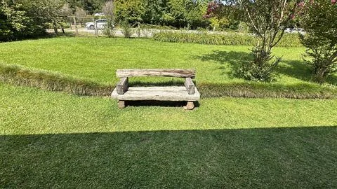 Rustic wooden bench in Lush Park Stock Photos