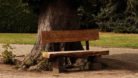 Rustic Wooden Bench Under Large Old Tree in Green Garden Stock Footage 345306094
