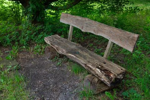 Rustic wooden bench under tree Stock Photos