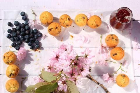 Rustic wooden breakfast background with bluberries, fresh scones and blooming Stock Photos