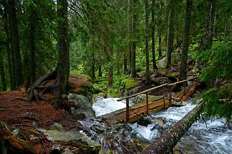 Rustic Wooden Bridge Over Fast Mountain River in Deep Forest Stock Photos