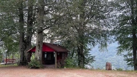 Rustic Wooden Cabin Among Beech Trees in Kartepe, Turkey Stock Footage 342325782