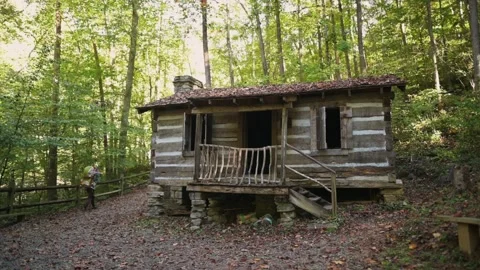 Rustic wooden cabin surrounded by lush green forest at Natural Tunnel State Park Vídeo Stock 295168536
