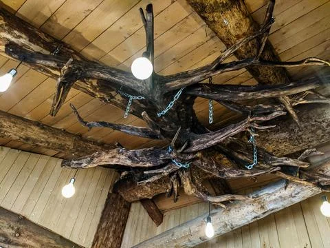 A rustic wooden ceiling with exposed beams and branches. Bright round lights Stock Photos