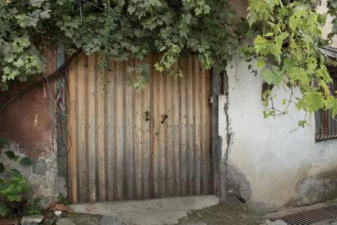 Rustic wooden gate with grapevine Stock Photos