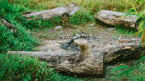Rustic Wooden Log Bench Circle at Outdoor Campfire Site Stock Photos