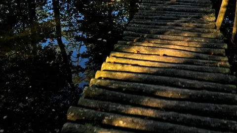 Rustic Wooden Log Staircase Leading to a Calm Autumn Lake Shore Stock Footage 346754826