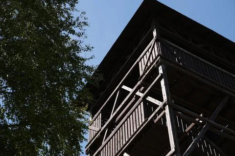 Rustic Wooden Observation Tower with Weathered Timber Framing and Green Tre.. イラスト素材