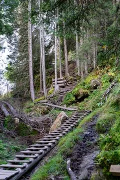 Rustic Wooden Path and Steps Winding Up a Steep Forest Trail Foto stock