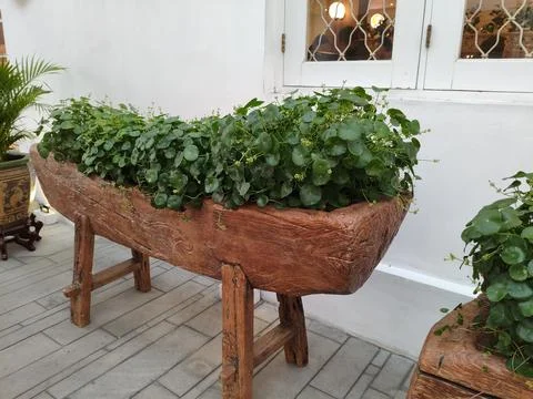 Rustic wooden planter Stock Photos