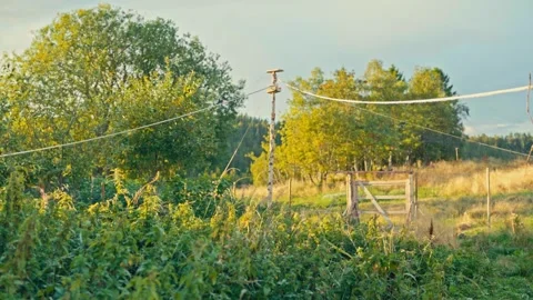 A Rustic Wooden Pole With Extending Tied Ropes Set Against Dense Nature Stock Footage 337536064