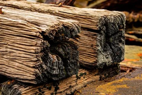 Rustic Wooden Posts Stock Photos